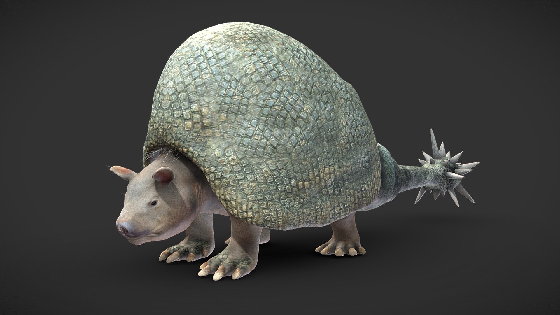 Doedicurus clavicaudatus 3d model