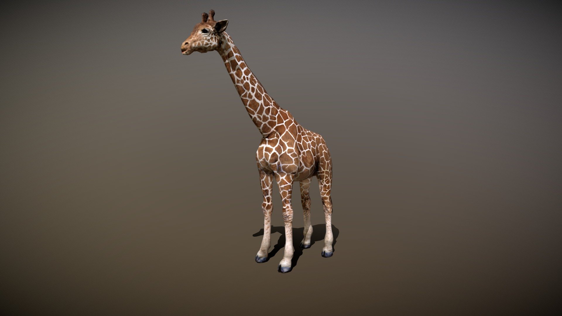 Giraffe with Animation 3d model