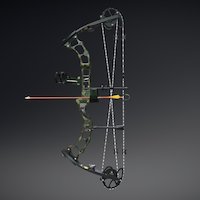 Compound Bow