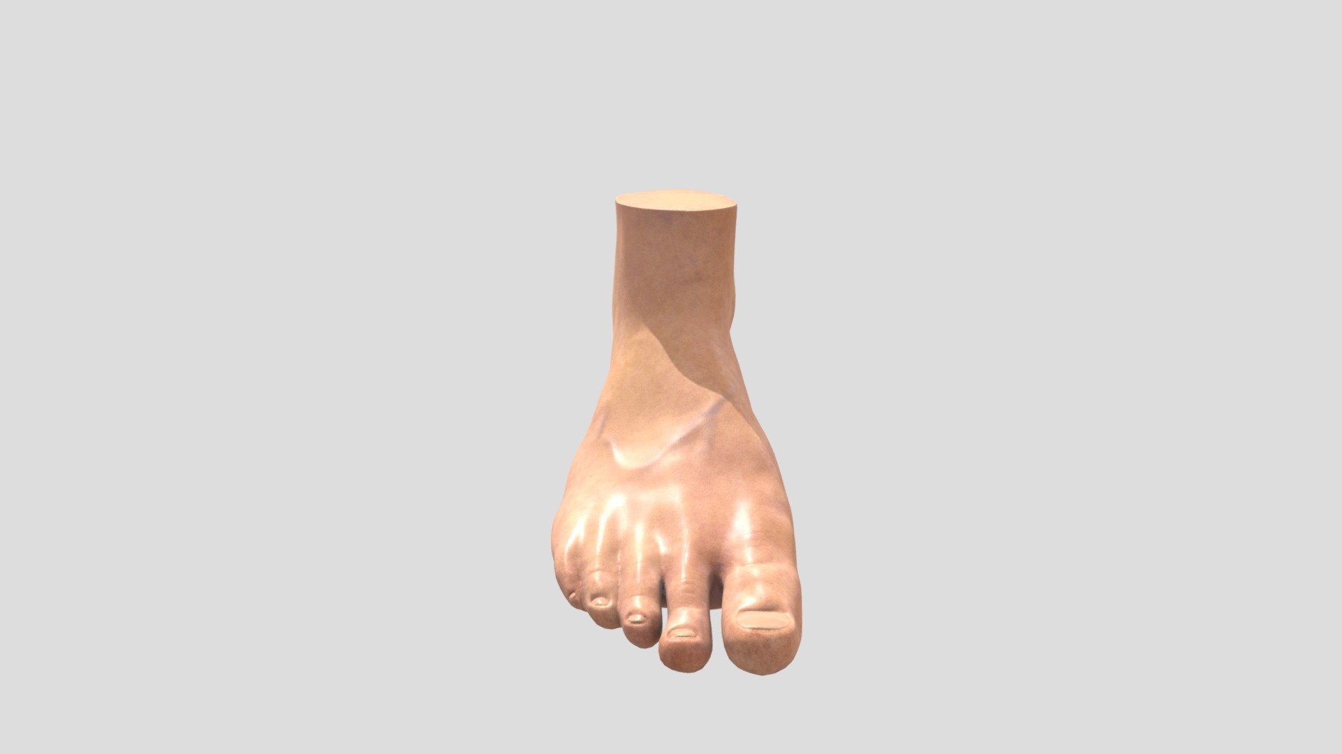 foot sculpt 3d model