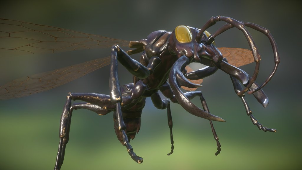 Warriror Wasp 3d model