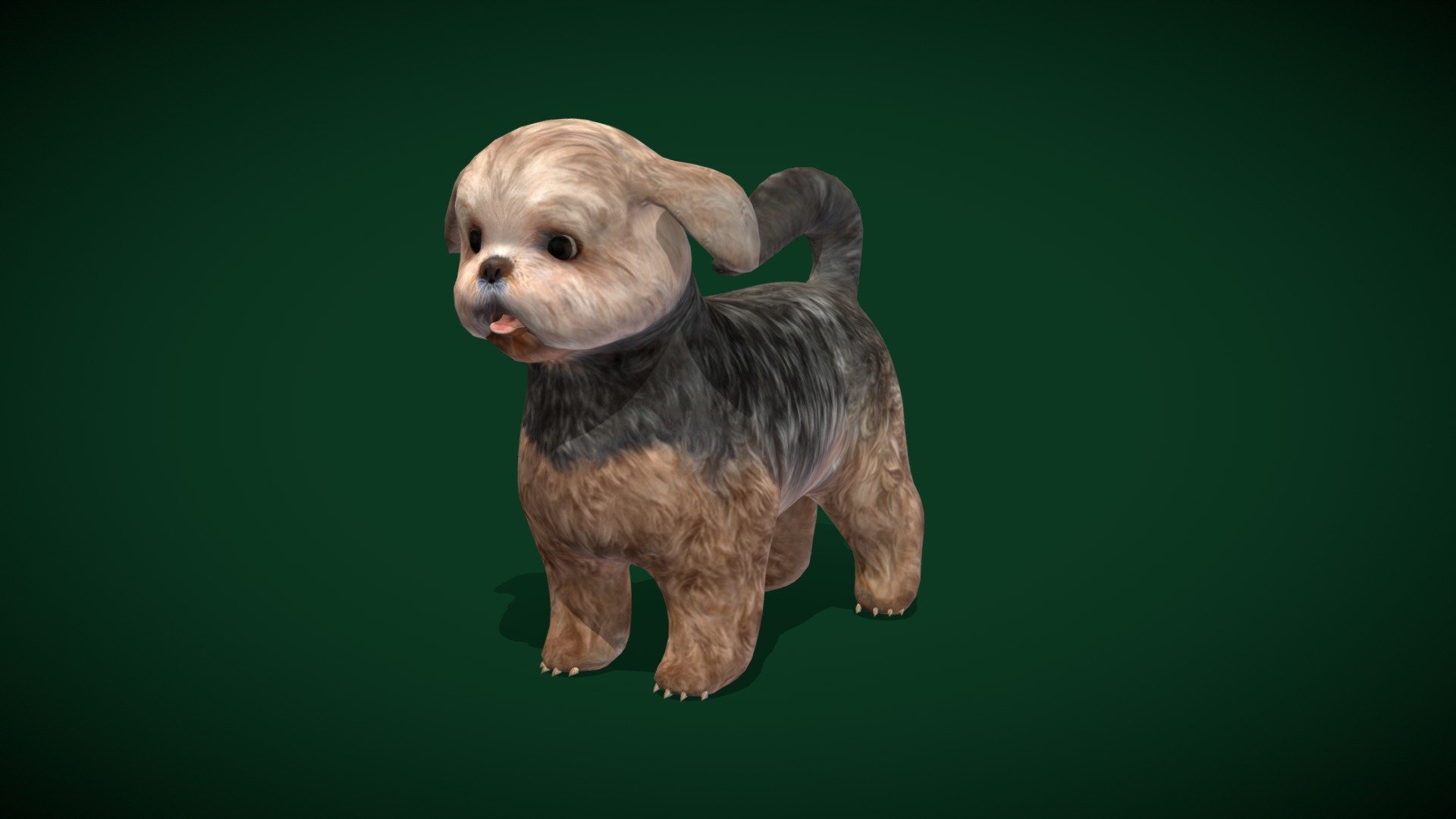 Shih Tzu Dog Breed (Lowpoly) 3d model