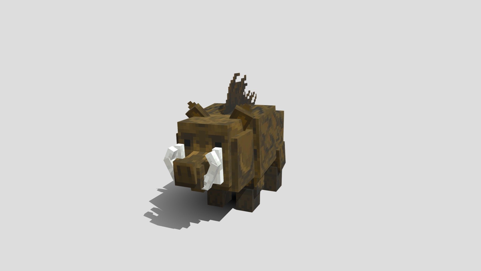 Wild Boar 3d model