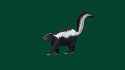 Skunk (GameReady)