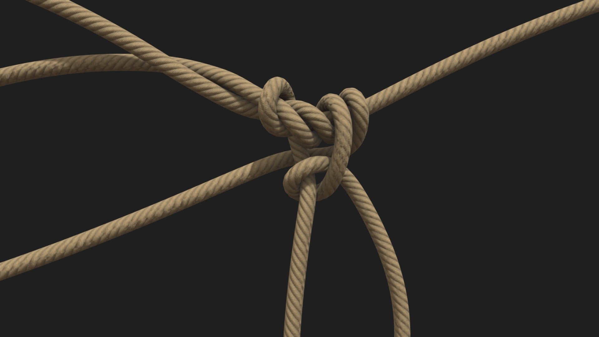 Rope 3d model