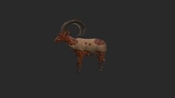 Ibex_diseased