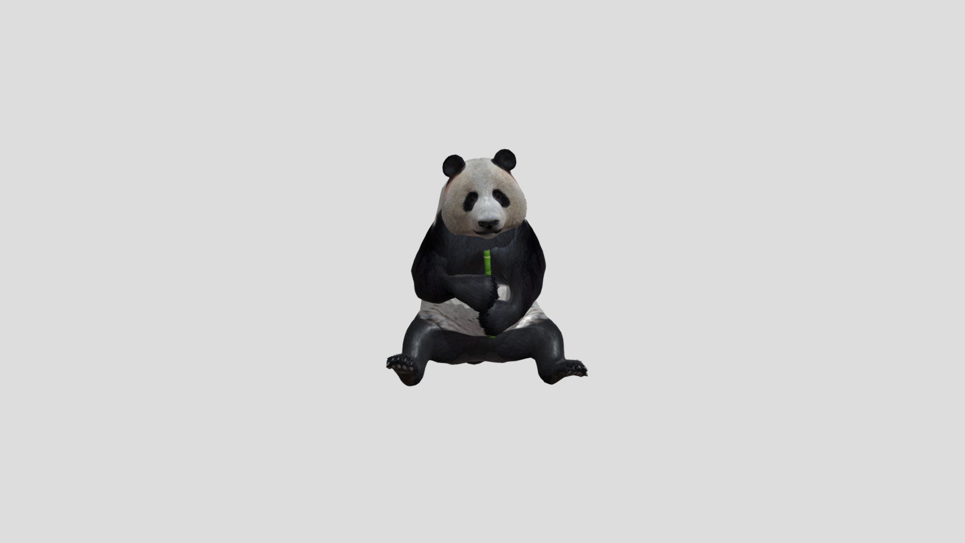 Panda 3d model