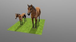 Horse Big & Small