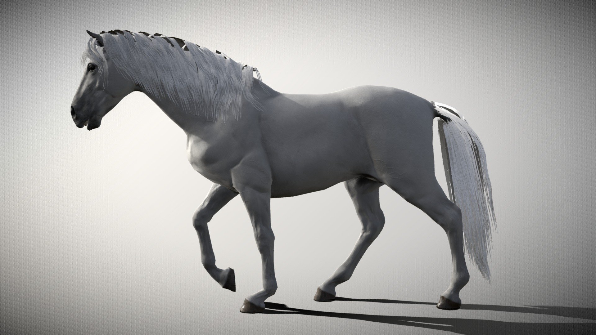 white horse 3d model