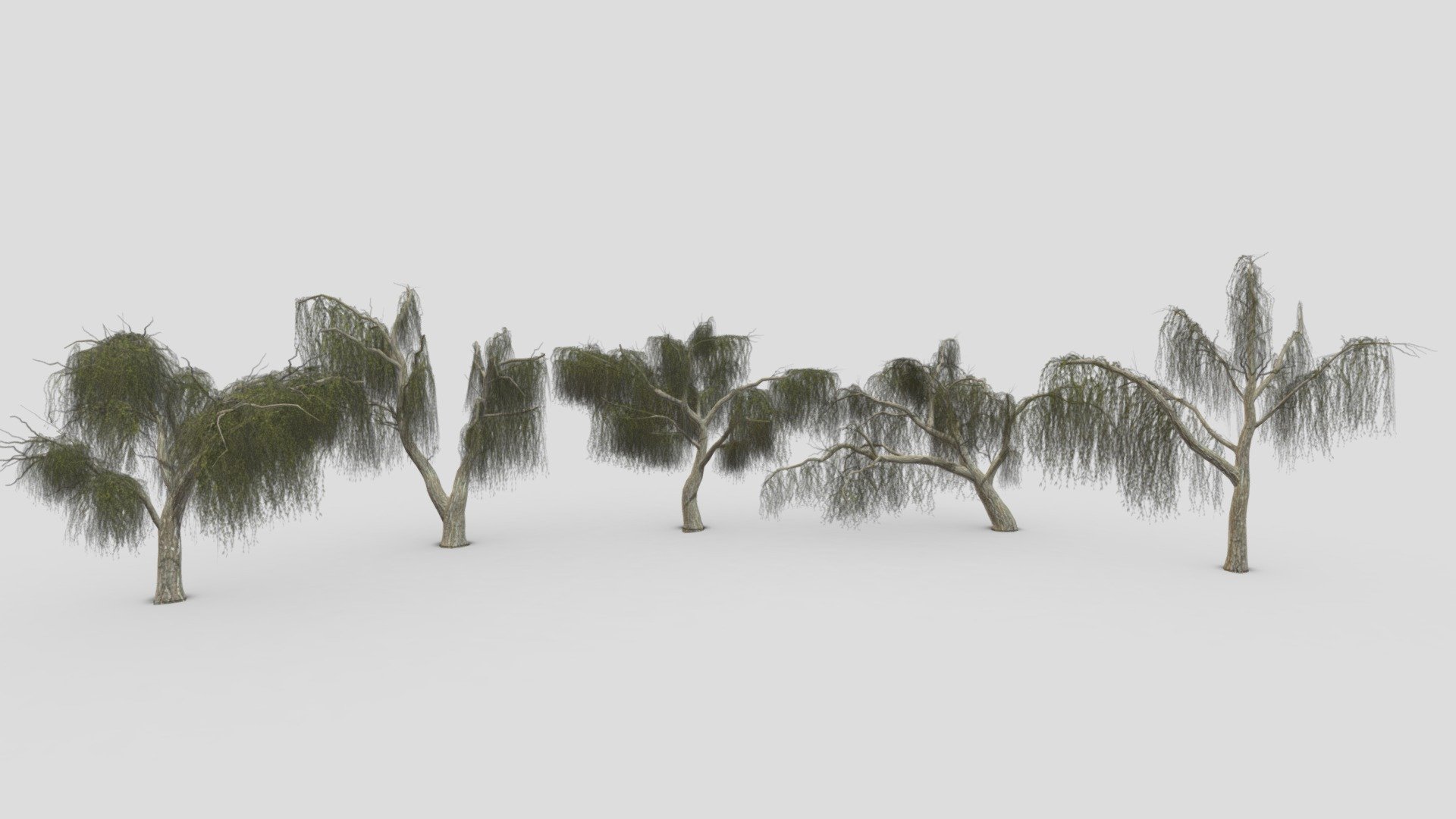 Weeping Willow Tree Pack-P3 3d model