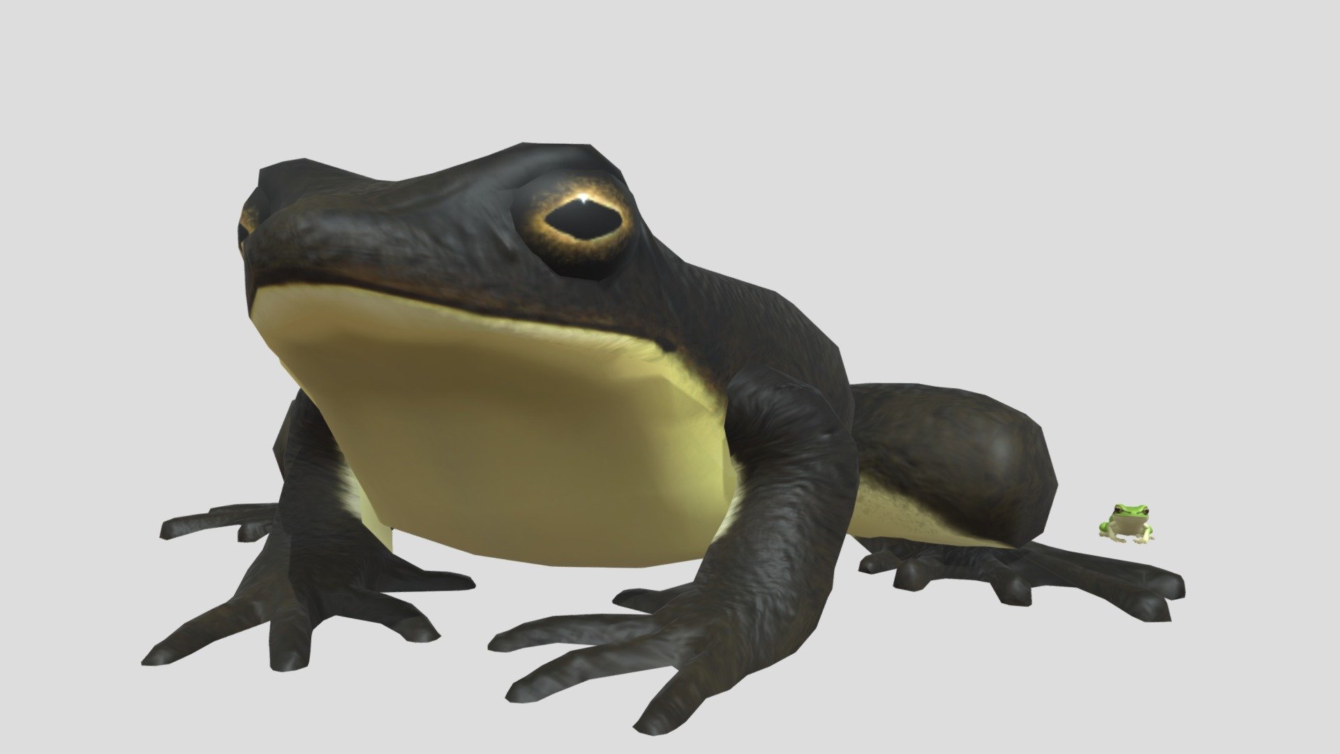 Goliath frog 3d model