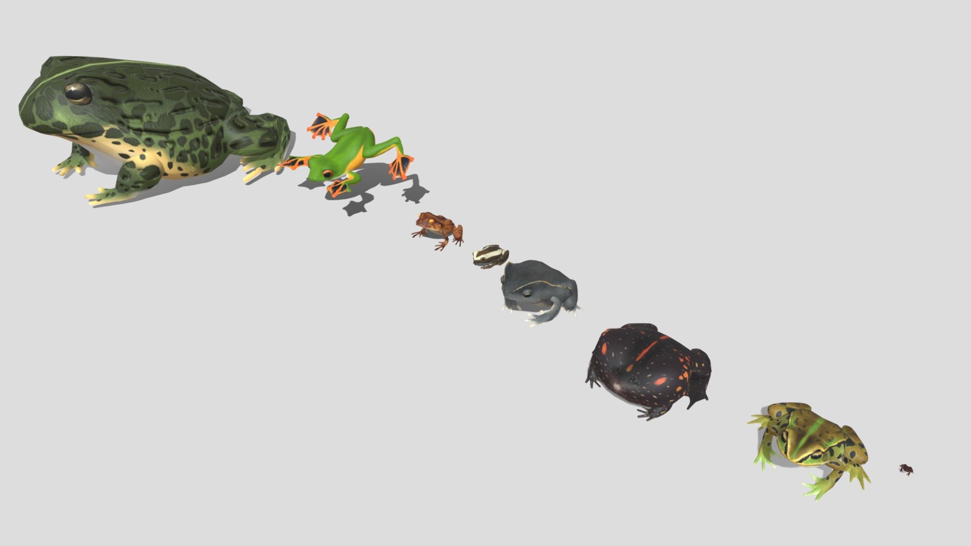 8 kinds of toad B 3d model