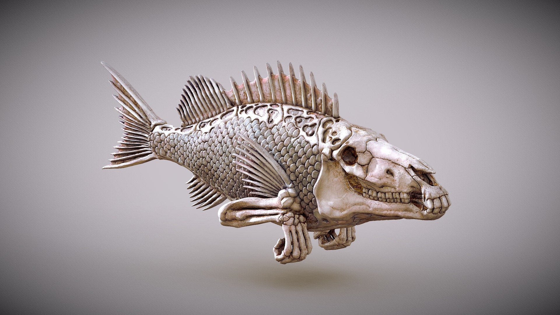 FISHHead2 3d model