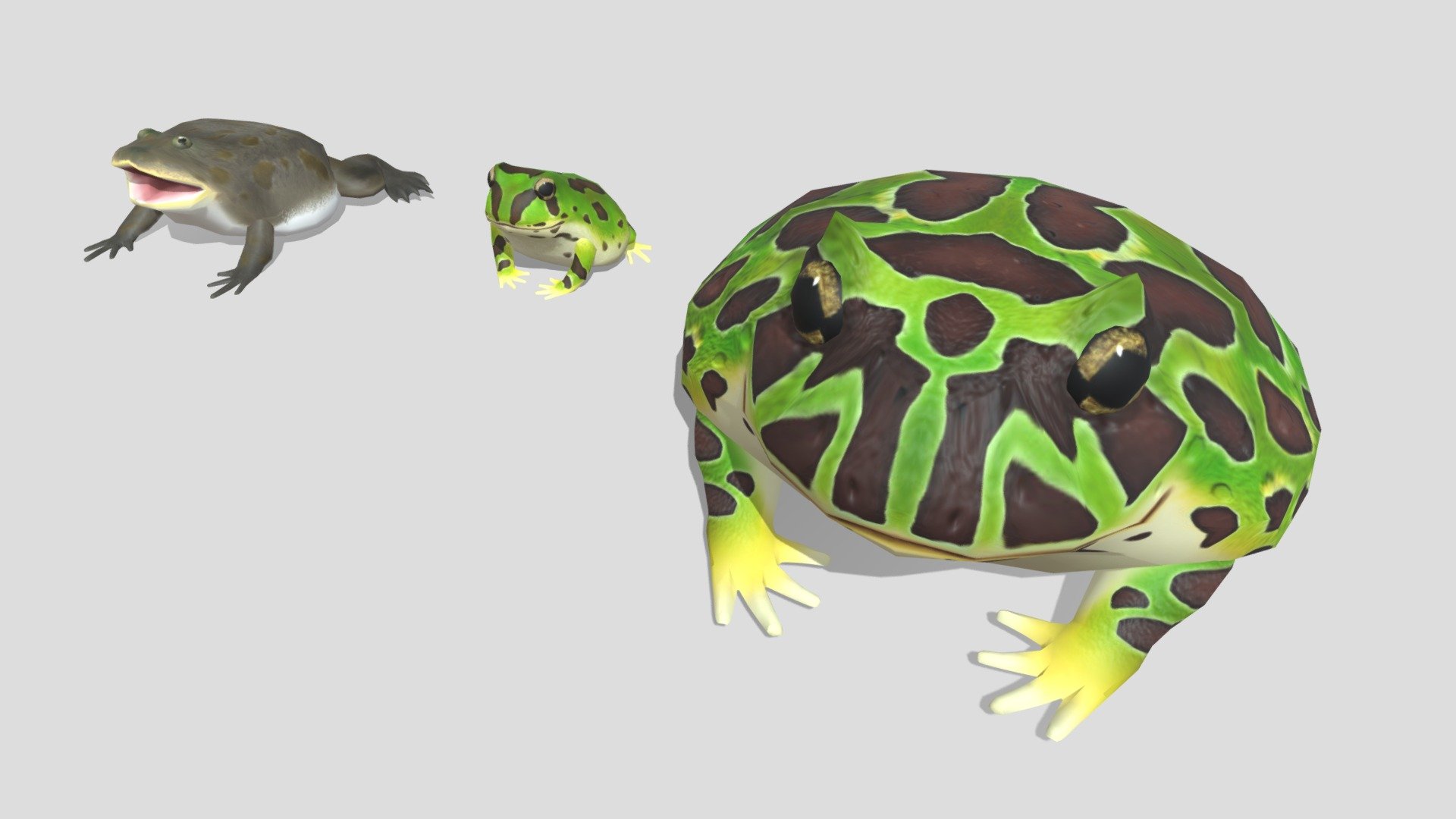 3 kinds of horned frog 3d model