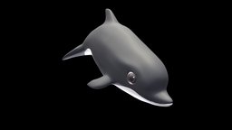 Dolphin