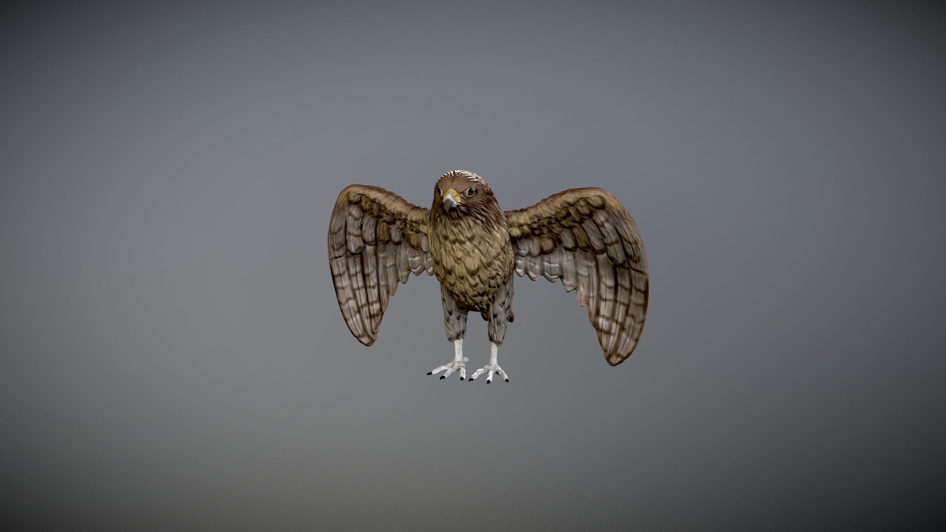 hawk 3d model 3d printable 3d model