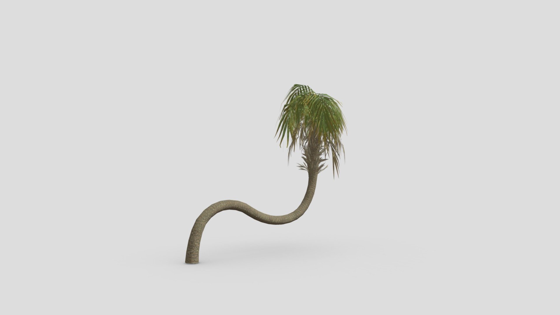 Palm Tree-S1 3d model