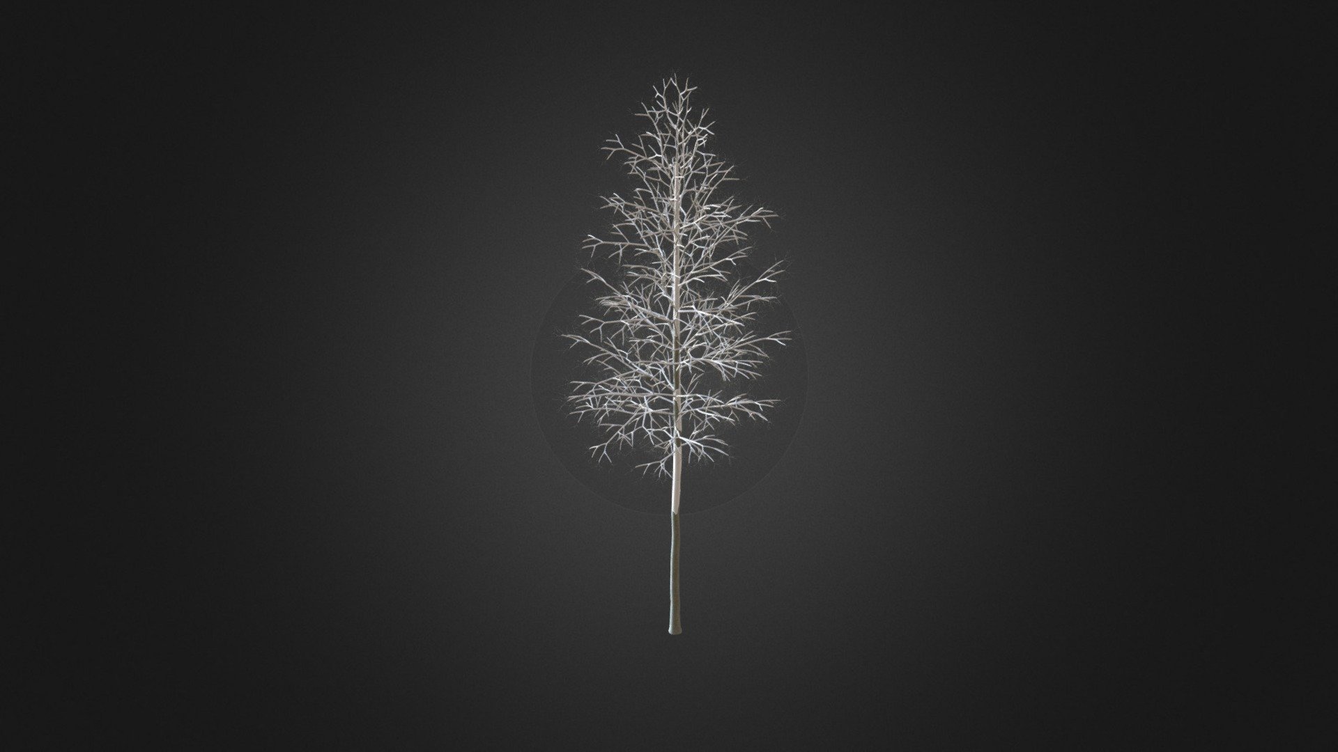 Quaking Aspen with Snow 3D Model 9.7m 3d model