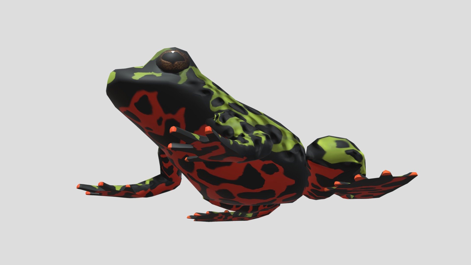 Oriental fire-bellied toad (Bombina family) 3d model