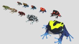 10 kinds of Poison dart frog [2]