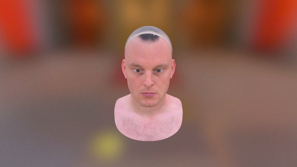 Male 3D Head scan 3d model