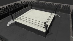 Wrestling Ring