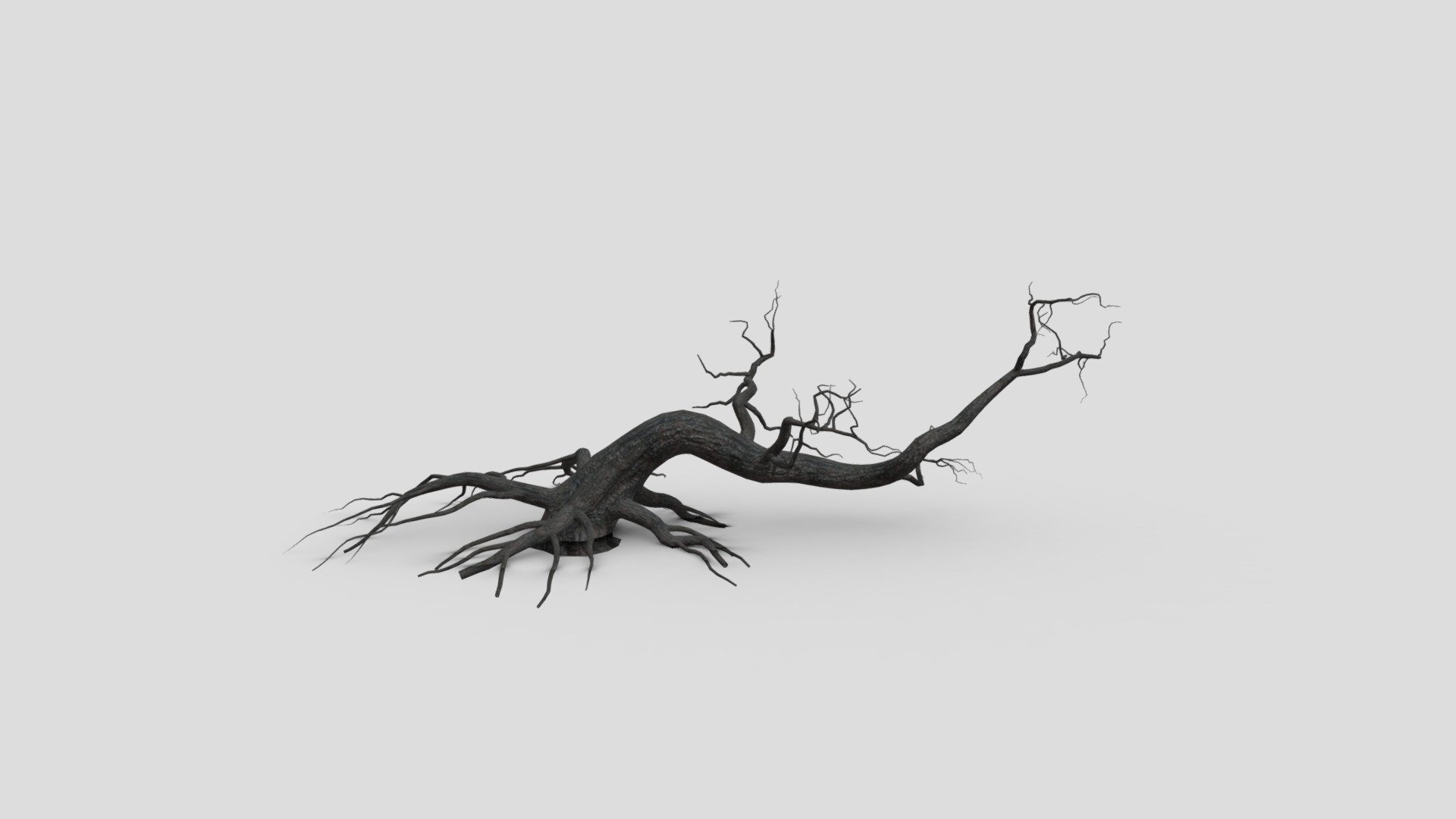 Halloween Tree-SK-21 3d model