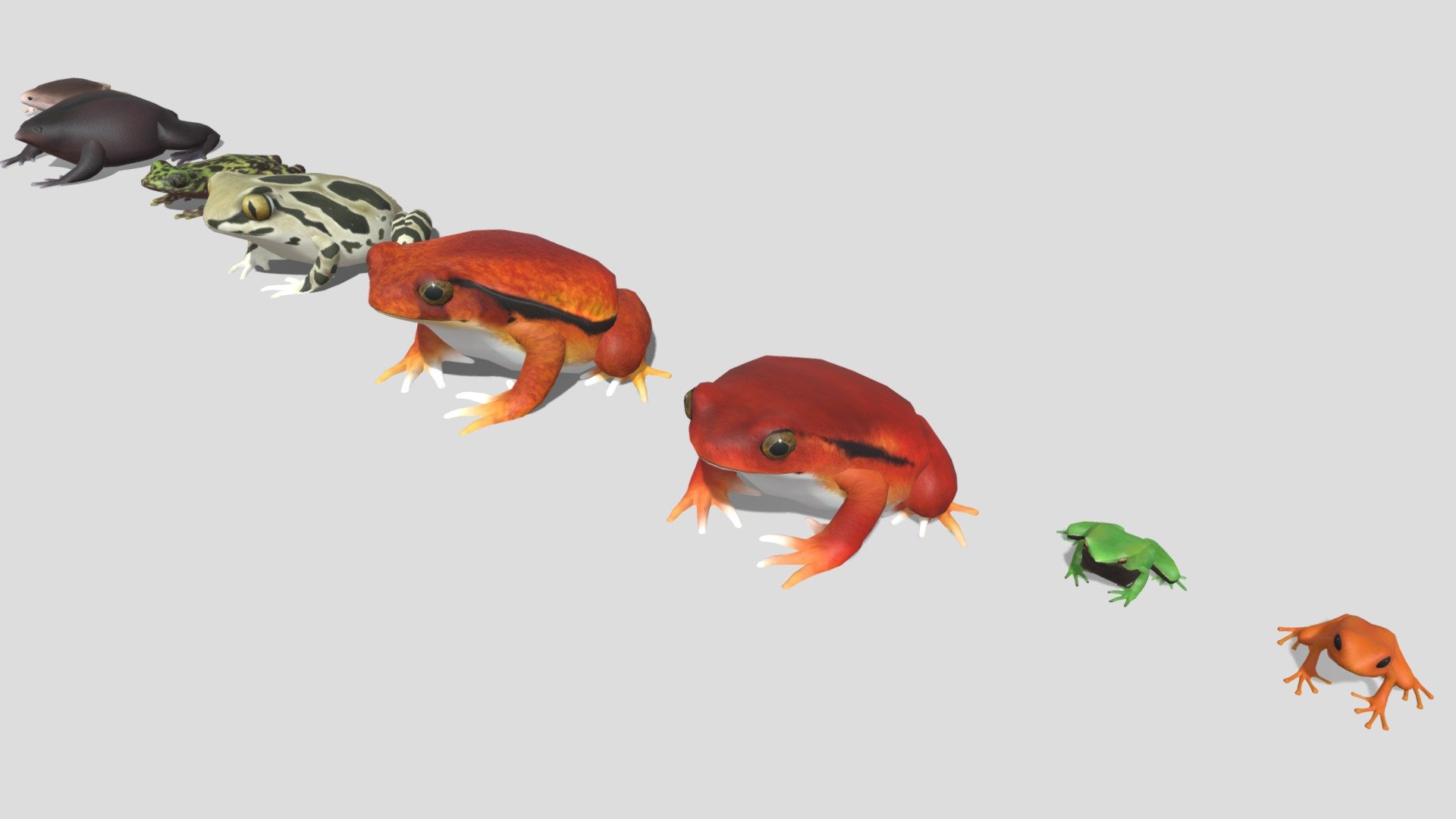 8 kinds of toad A 3d model