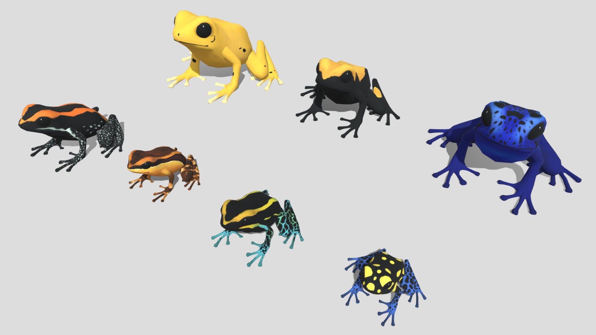 7 kinds of Poison dart frog [3] 3d model