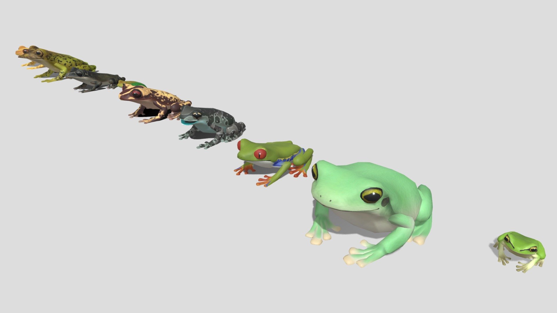 10 kinds of tree frog [1] 3d model