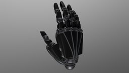 Robotic Hand