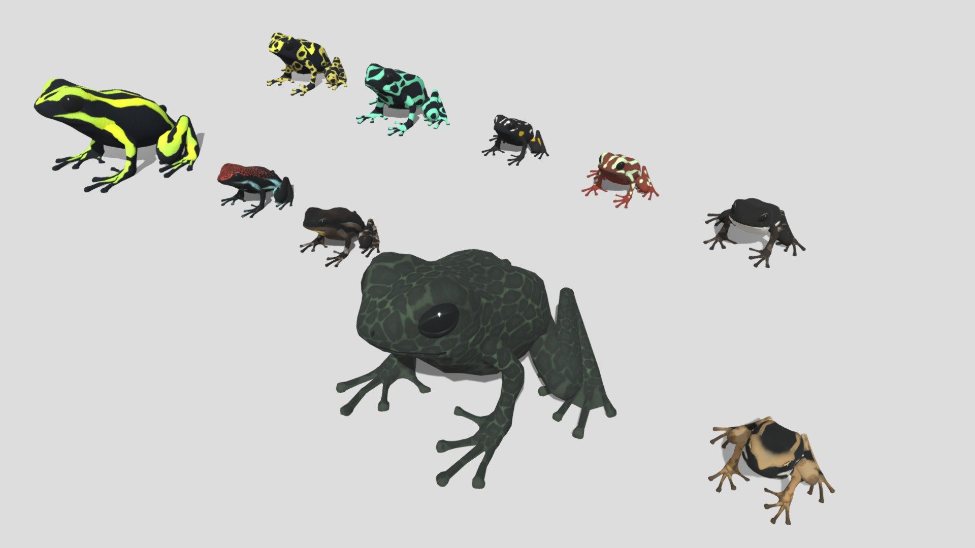 10 kinds of Poison dart frog [1] 3d model