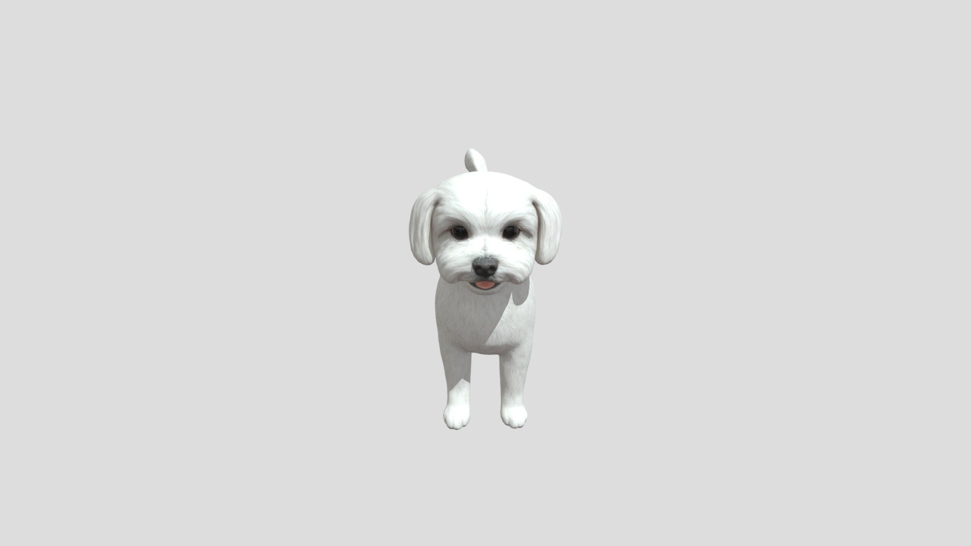 Maltese 3d model