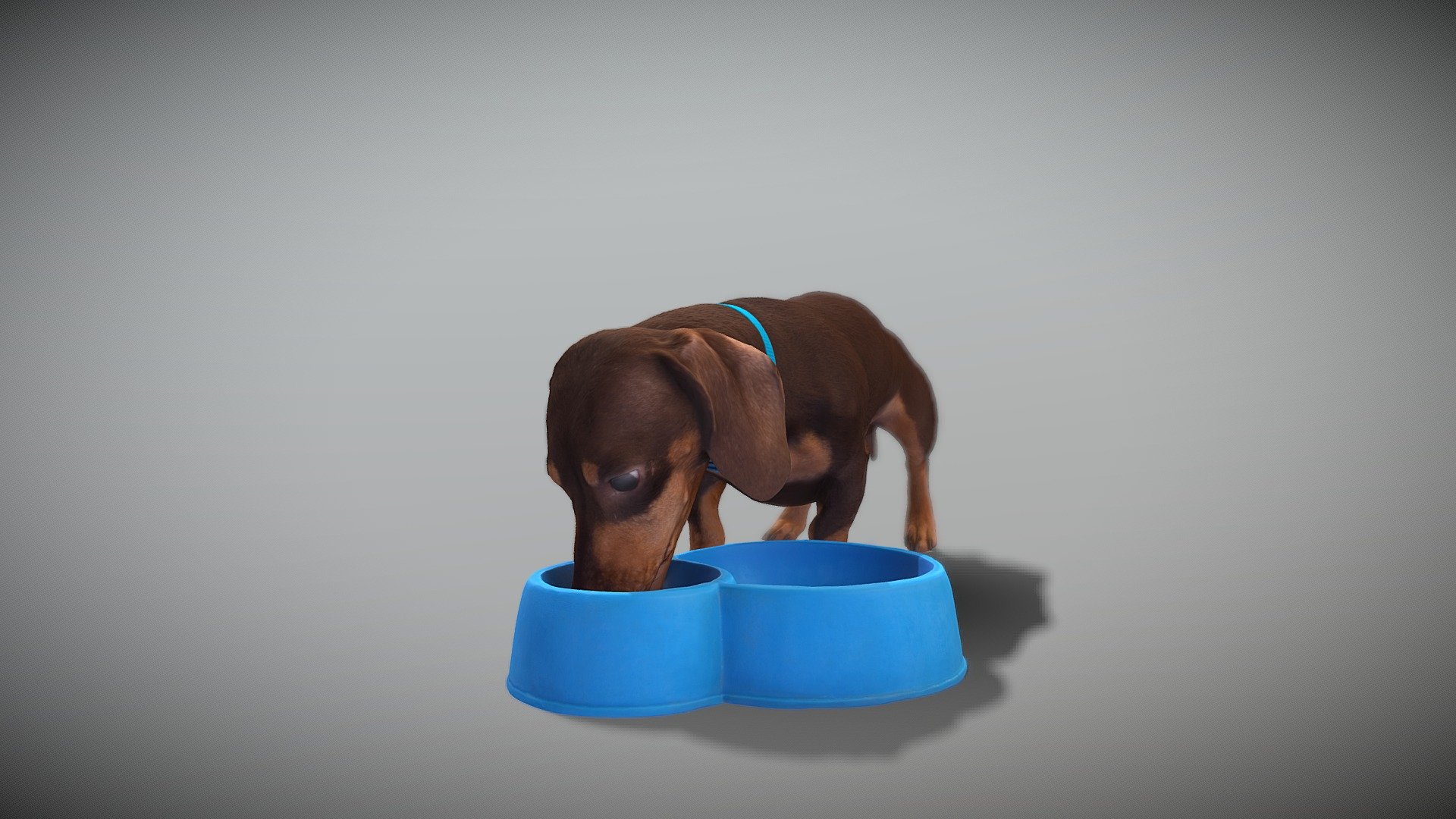 Dog with bowl 32 3d model