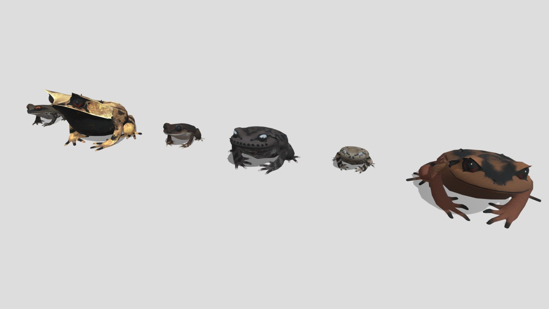 6 kinds of tree frog（Hylidae family） 3d model