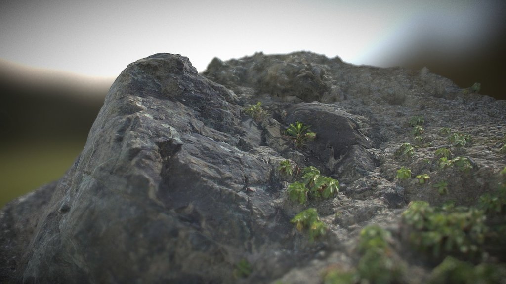 Boulder- Serpentinite 3d model