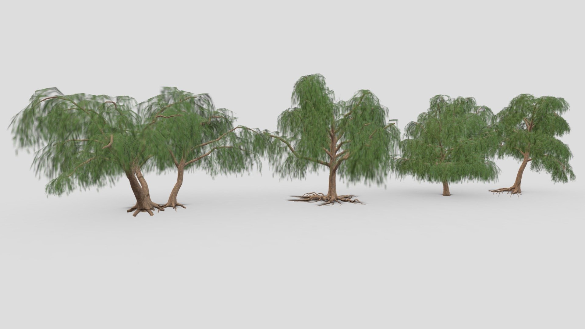 Prosopis Tree- Pack- 02 3d model