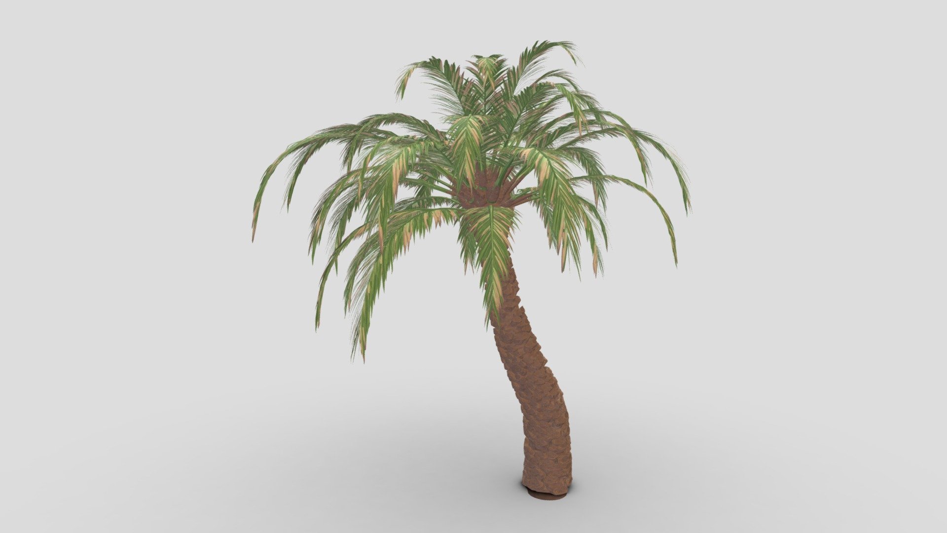 Date Tree- 03 3d model