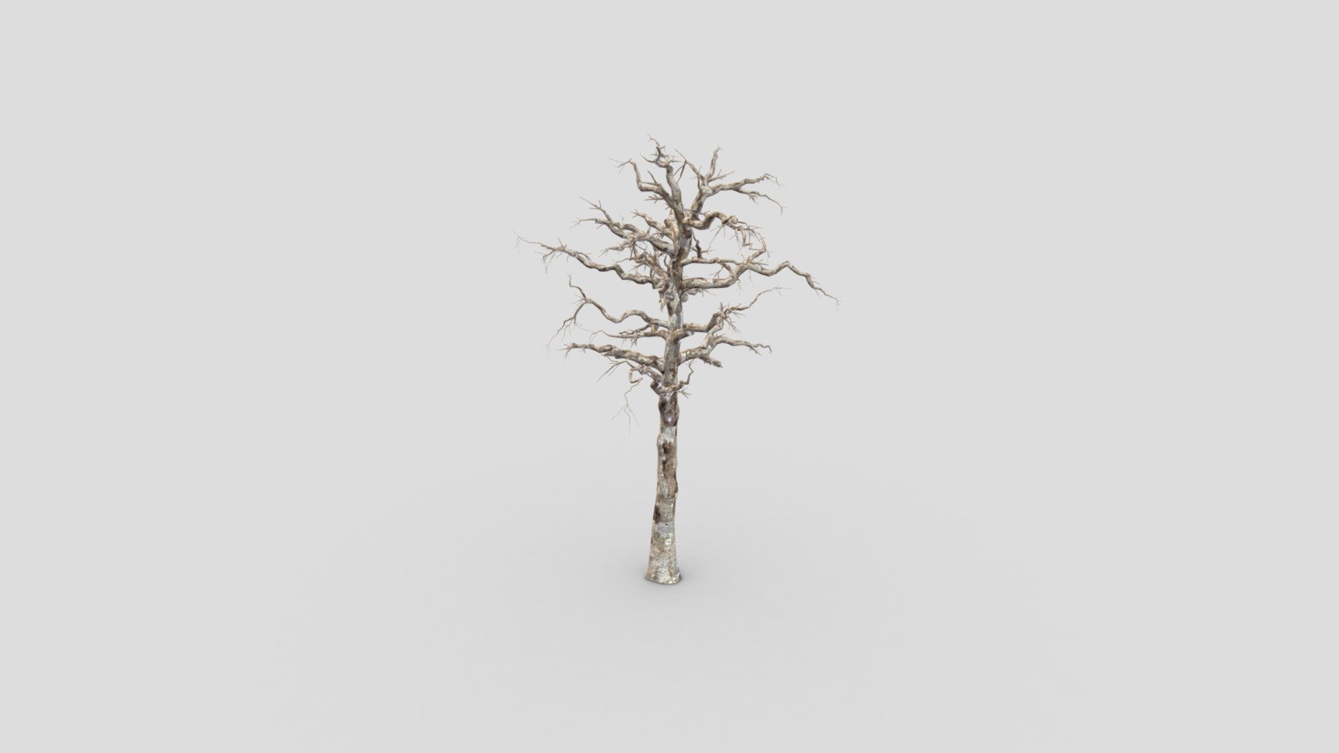 1- Maple 3d model