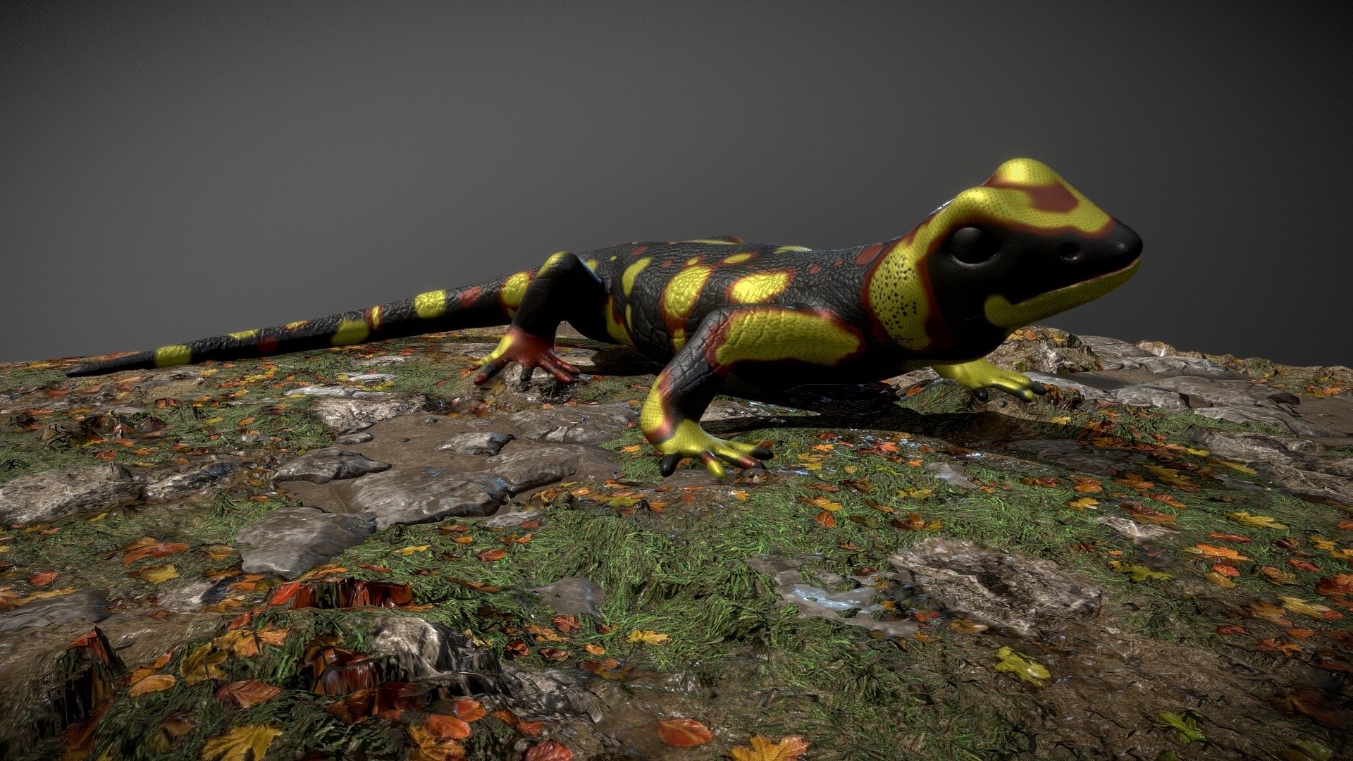 SALAMANDRA 3d model