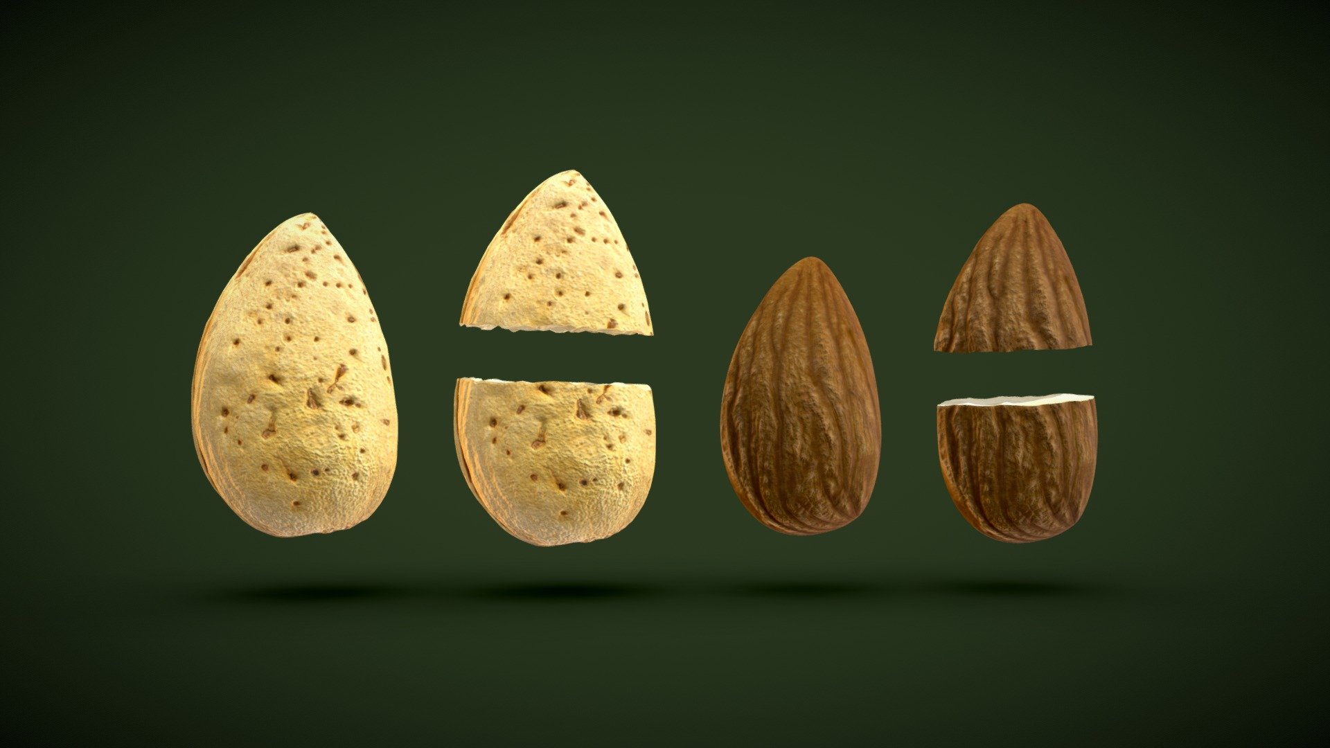 Almond with shell 3d model