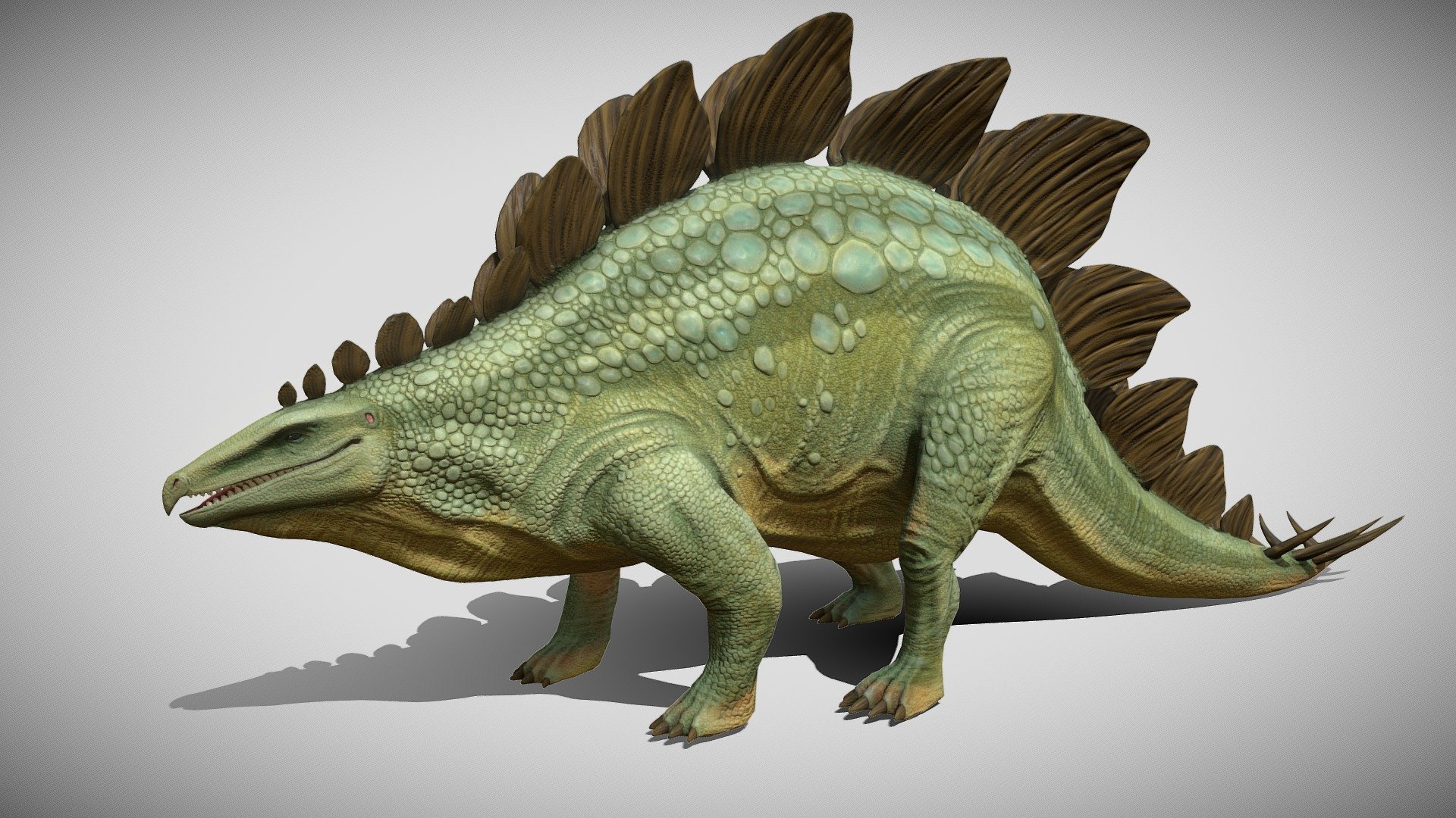 Stegosaurus Charles Robert Knight 3d model