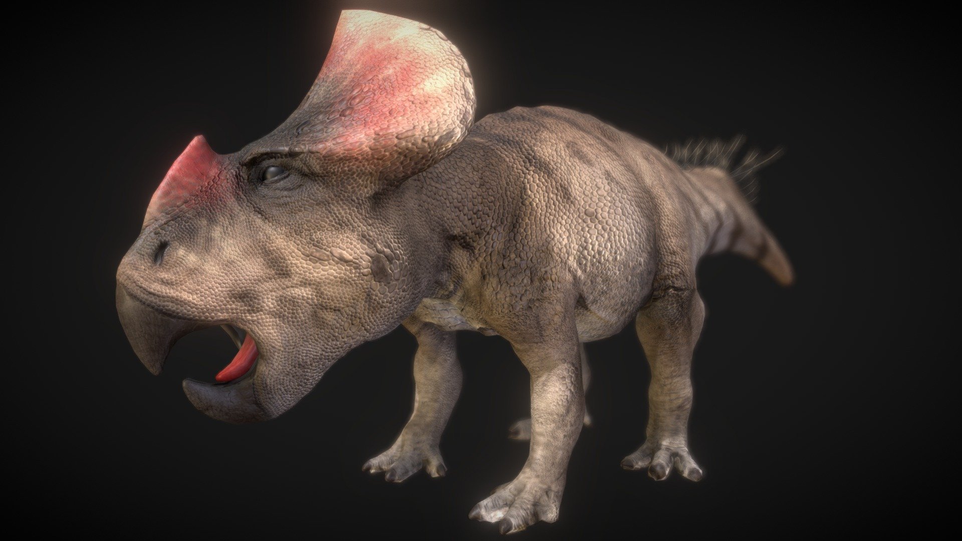 Protoceratops 3d model