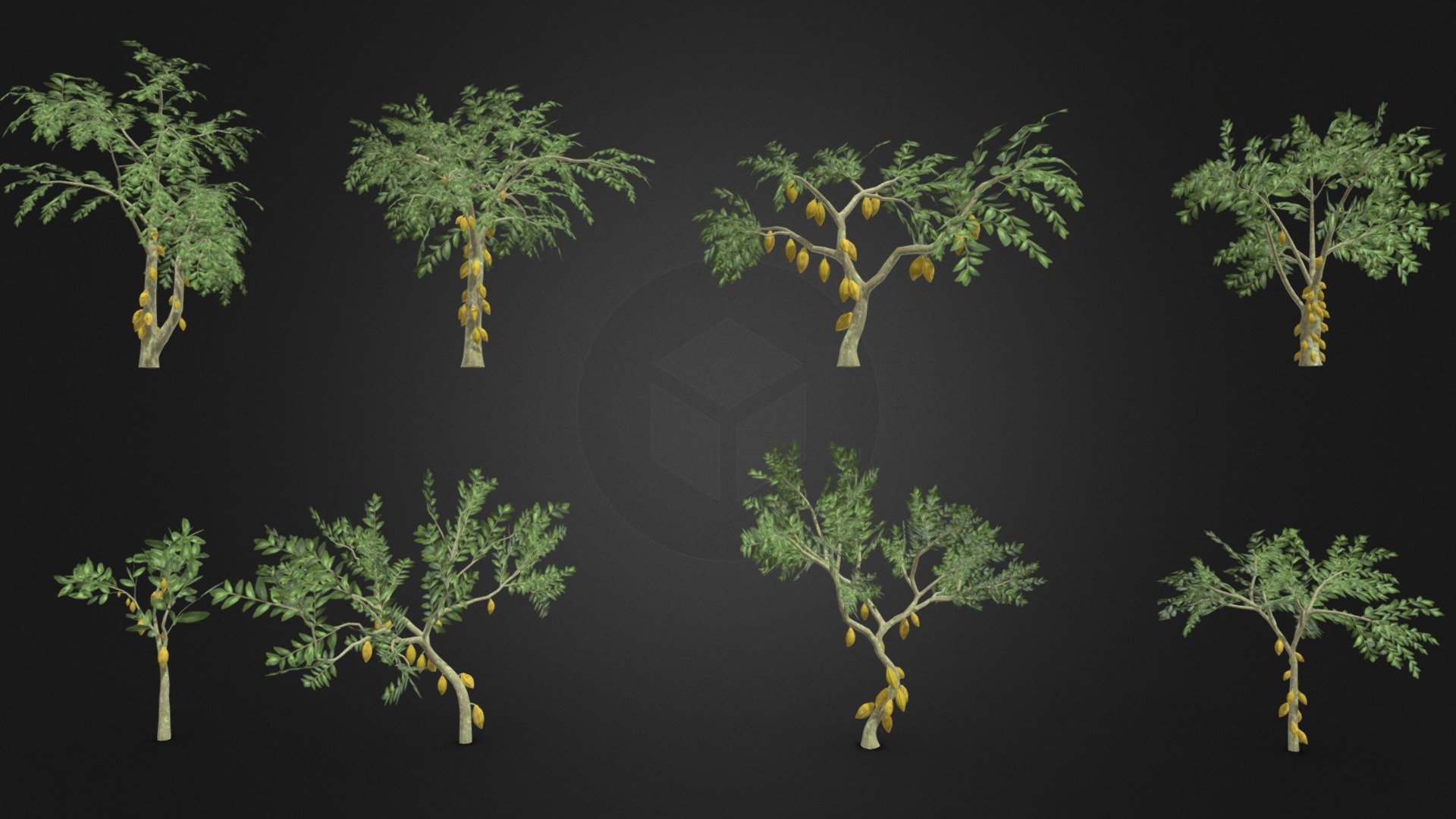 Cacao Tree- Yellow Fruit- Pack 01 3d model