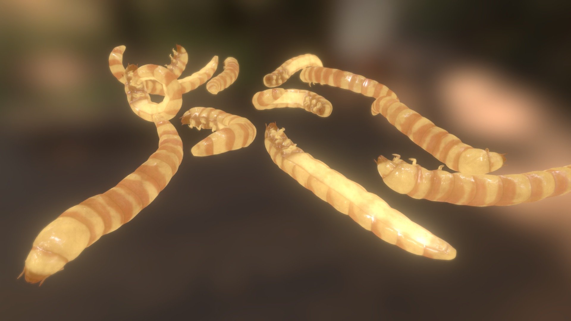 Mealworms family 3d model