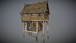 Medieval lake village