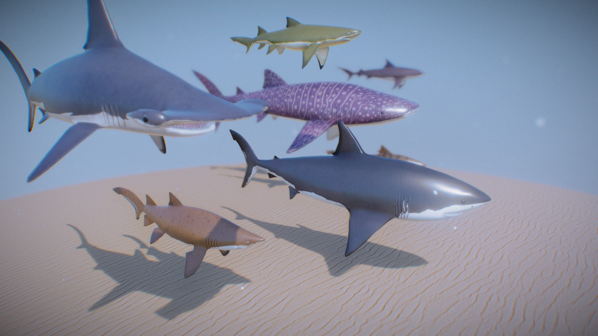 Seven Sharks Species 3d model