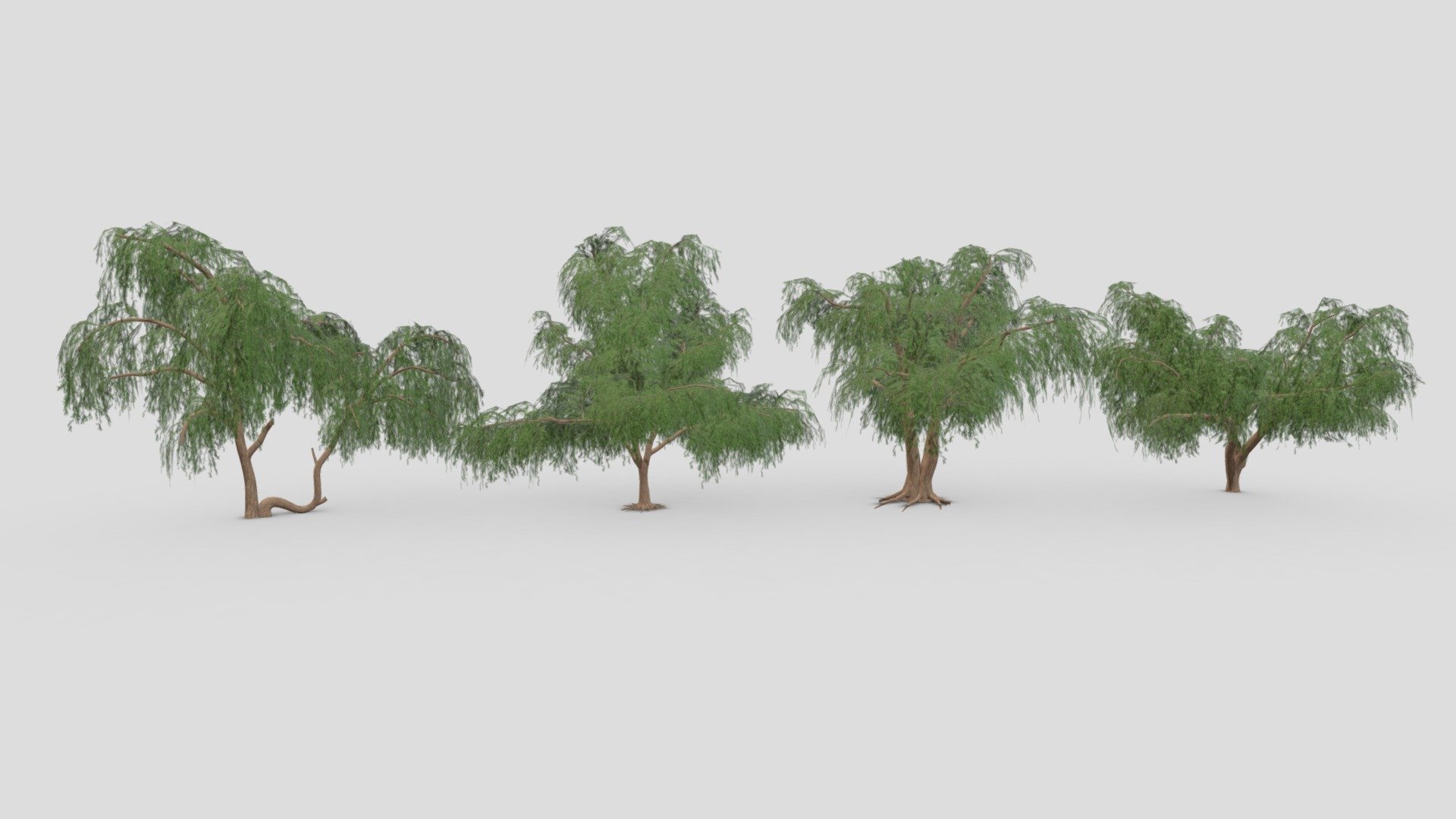 Prosopis Tree- Pack- 01 3d model