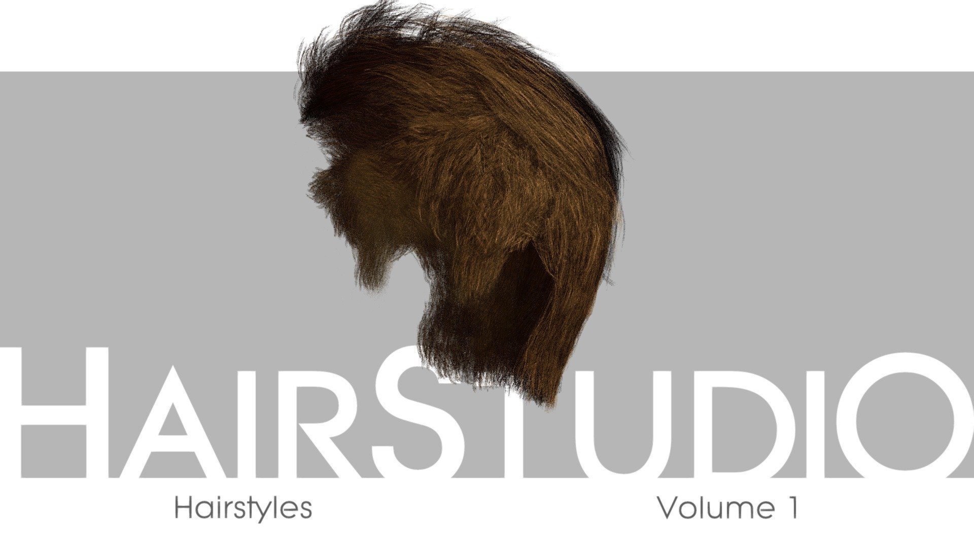 HairStudio Vol.01 3d model