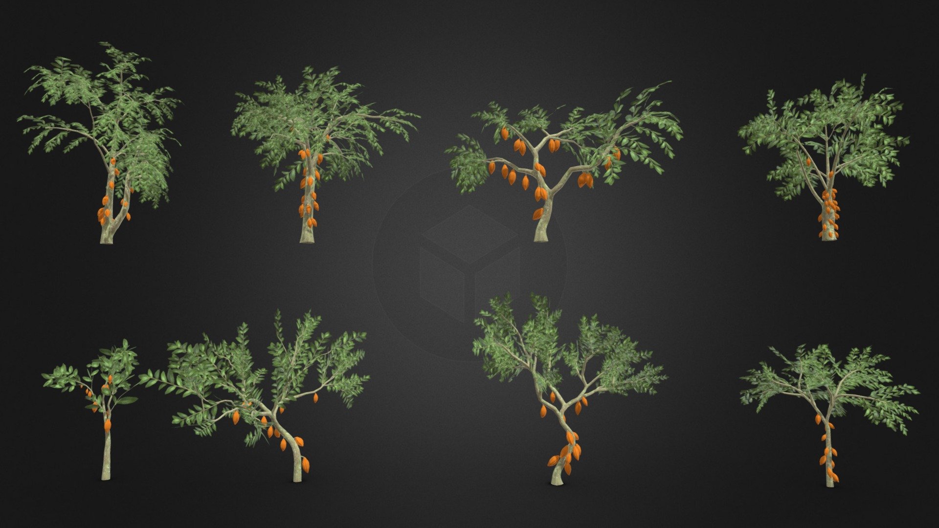 Cacao Tree- Orang Fruit- Pack 01 3d model